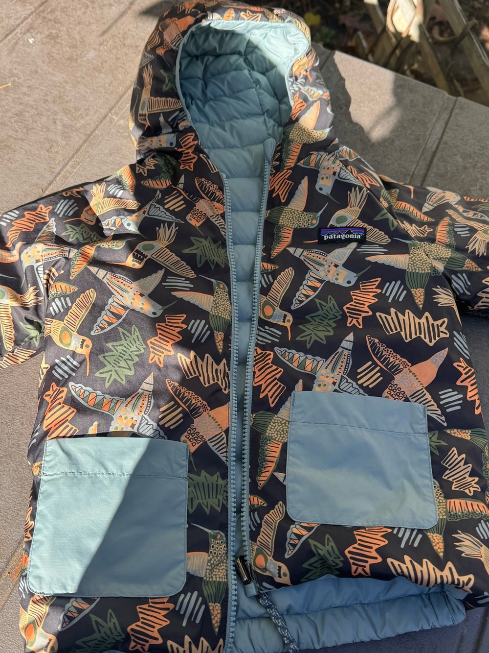 Patagonia Kids' Blue & Multi Bird-Print Insulated Jacket